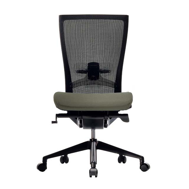 T50 High Performance Task Chair | Lumbar Support | The Home Office