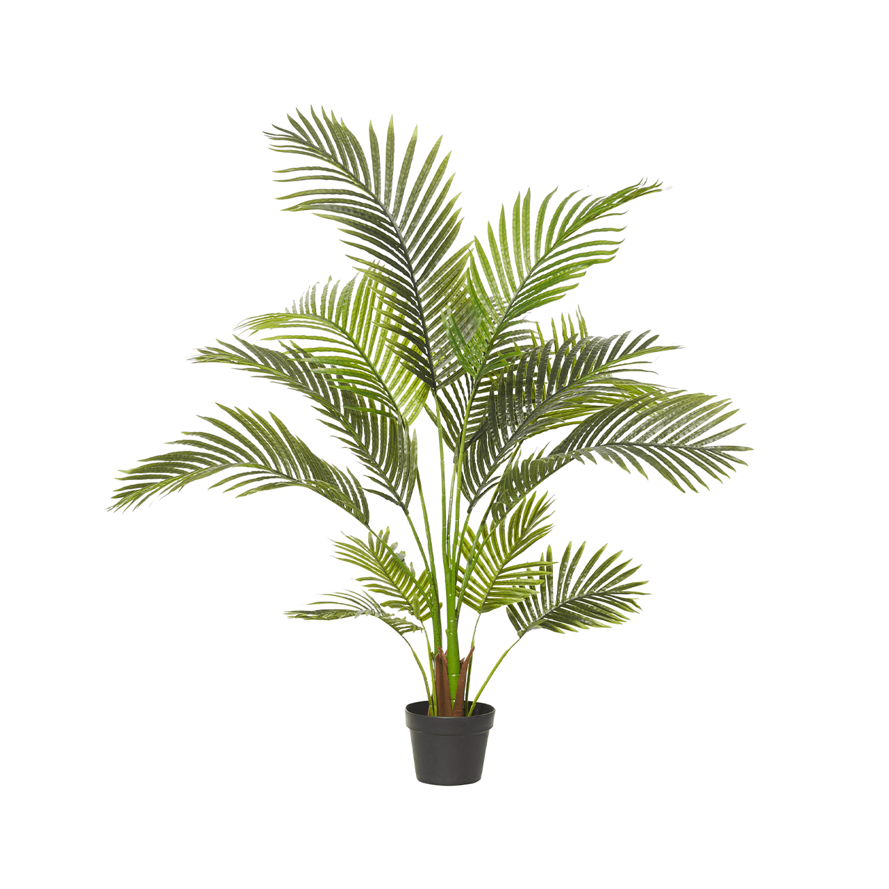 Rogue Artificial Plant – Areca Palm