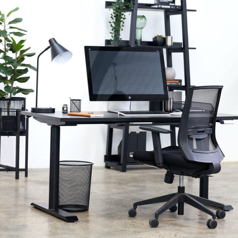 The Home Office Ergonomic Essentials Package